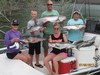 (07/05/2017) - Nice Striped Bass
